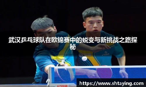 武汉乒乓球队在欧锦赛中的蜕变与新挑战之路探秘